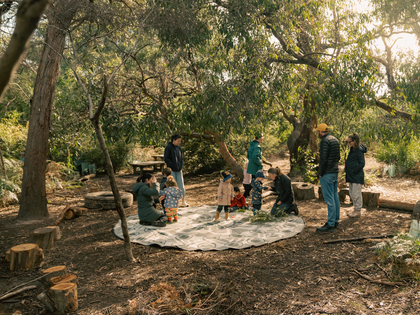Children learning in a bush setting